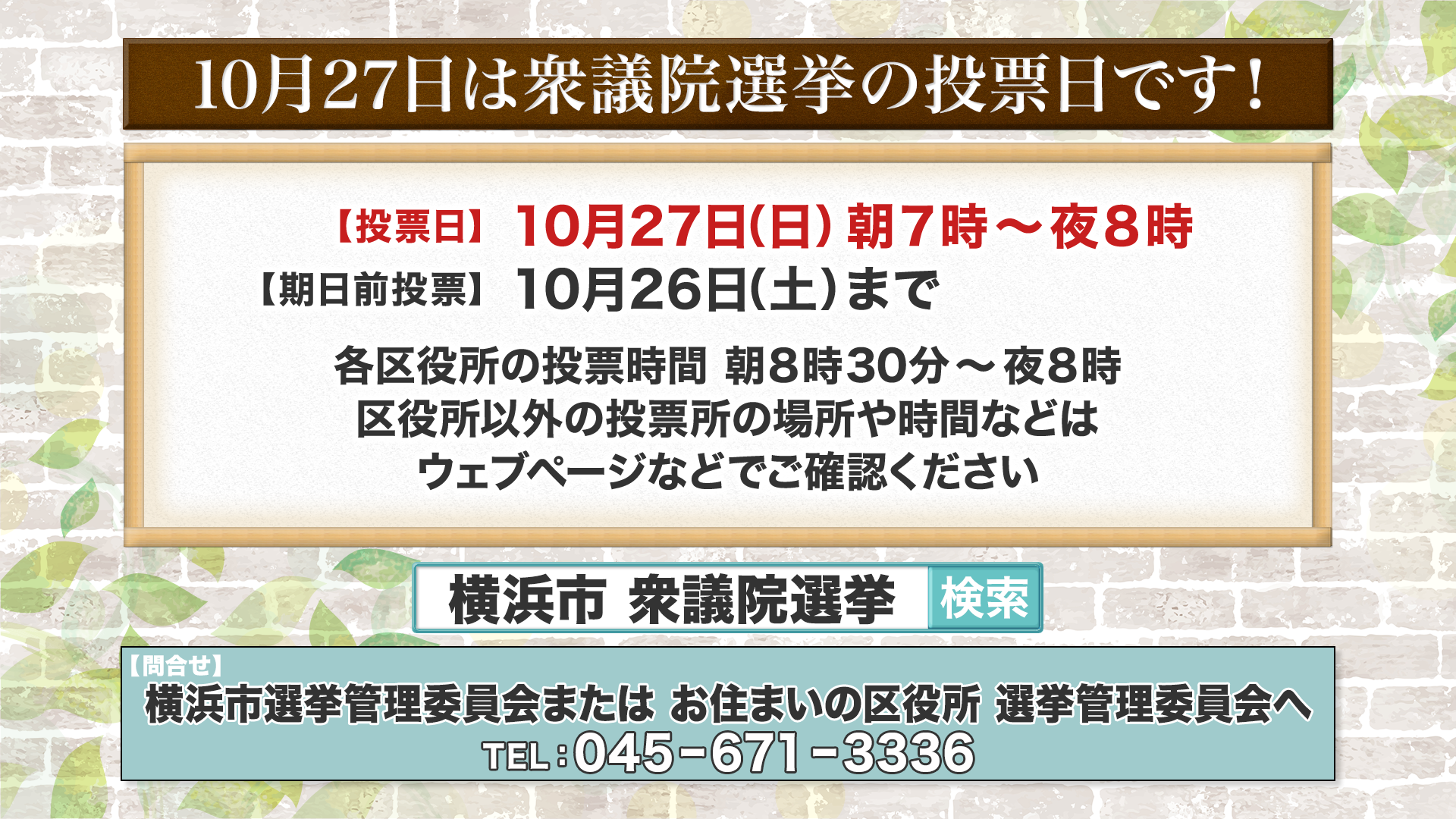 衆議院議員総選挙