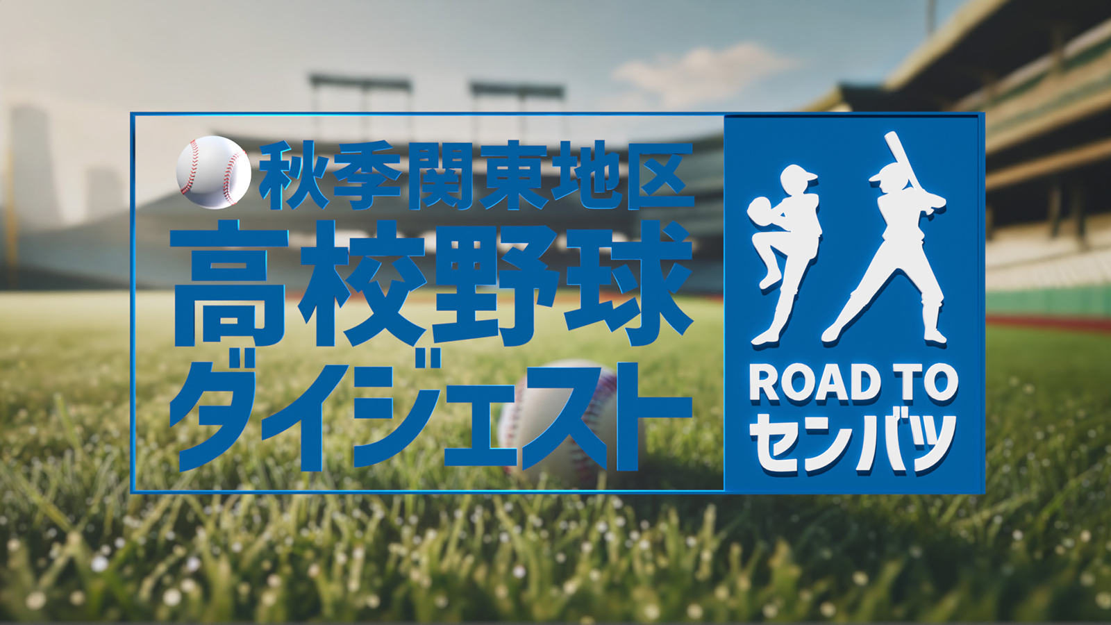 第７７回秋季関東地区高校野球ダイジェスト～Road to センバツ～